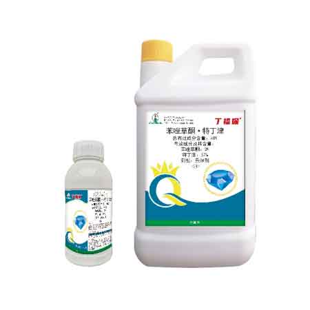 丁福保®