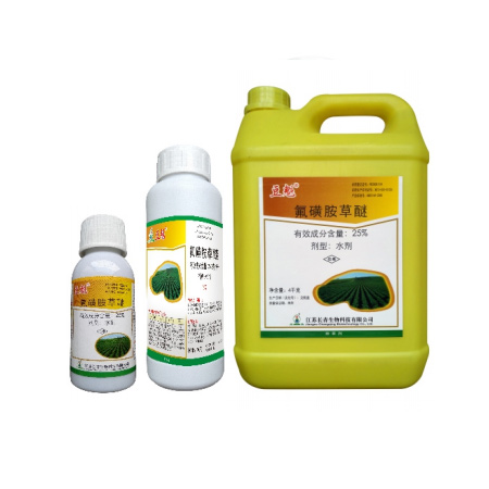 豆魁®