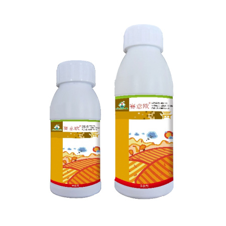 赛意欧®